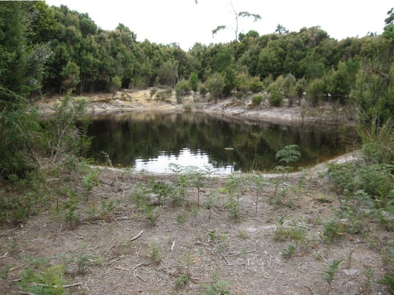 1000 Pegarah Road, Naracoopa TAS 7256