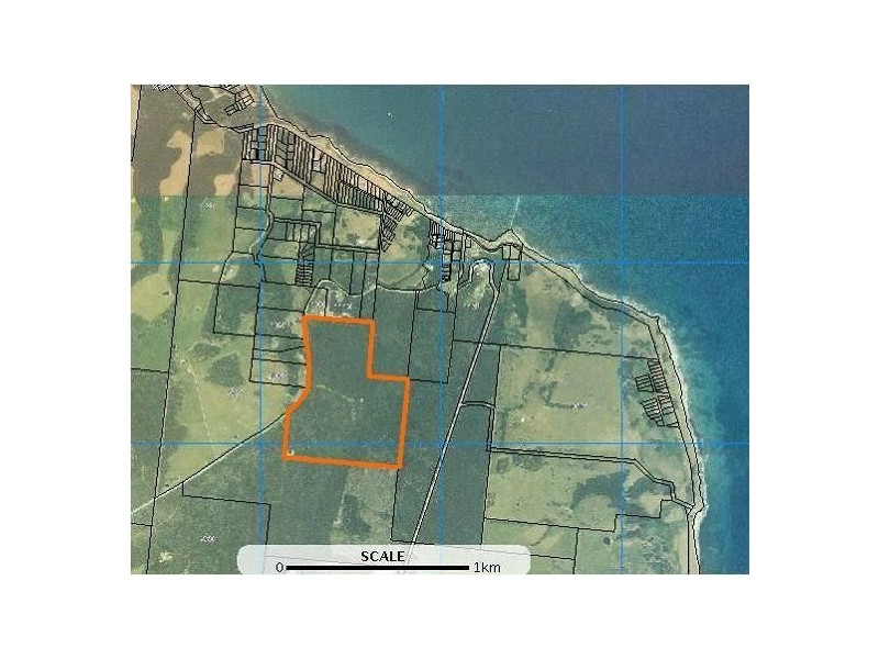 1000 Pegarah Road, Naracoopa TAS 7256