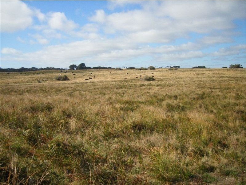 21 Fraser Road, Currie TAS 7256