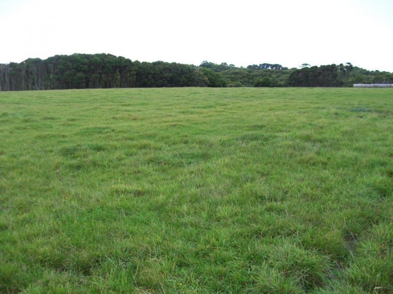 4 Rankins Road, Naracoopa TAS 7256