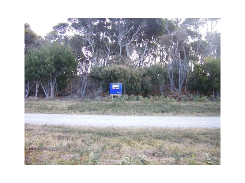 17 Skyline Drive, Naracoopa TAS 7256