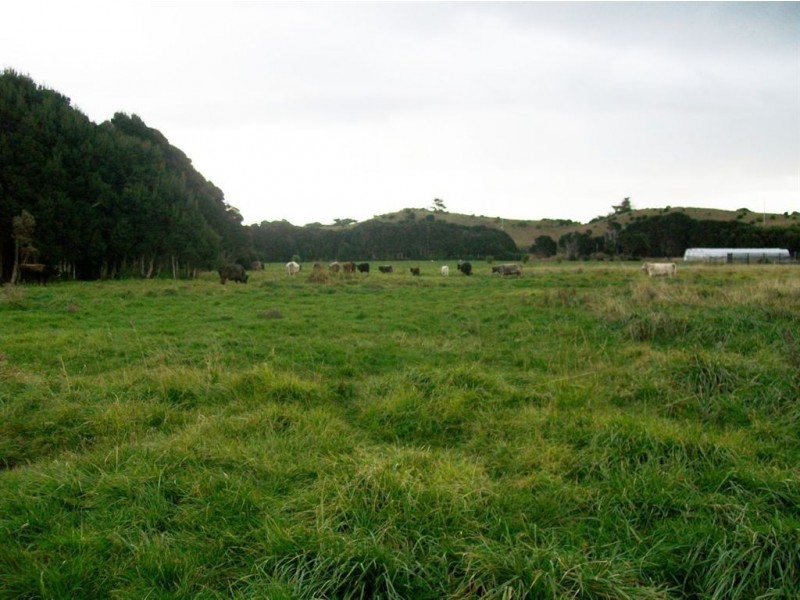 10 William Street, Currie TAS 7256