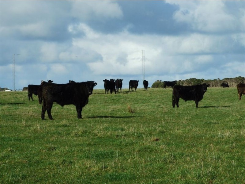 120 Don Kendall Drive, Loorana TAS 7256