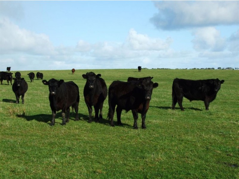 120 Don Kendall Drive, Loorana TAS 7256