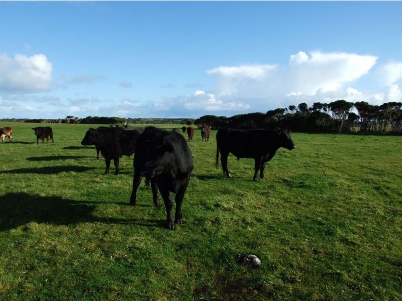 120 Don Kendall Drive, Loorana TAS 7256