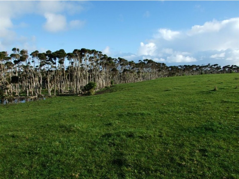 120 Don Kendall Drive, Loorana TAS 7256