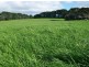 393 Lancaster Road, Pegarah TAS 7256
