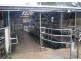 393 Lancaster Road, Pegarah TAS 7256