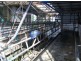 393 Lancaster Road, Pegarah TAS 7256