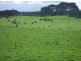 393 Lancaster Road, Pegarah TAS 7256