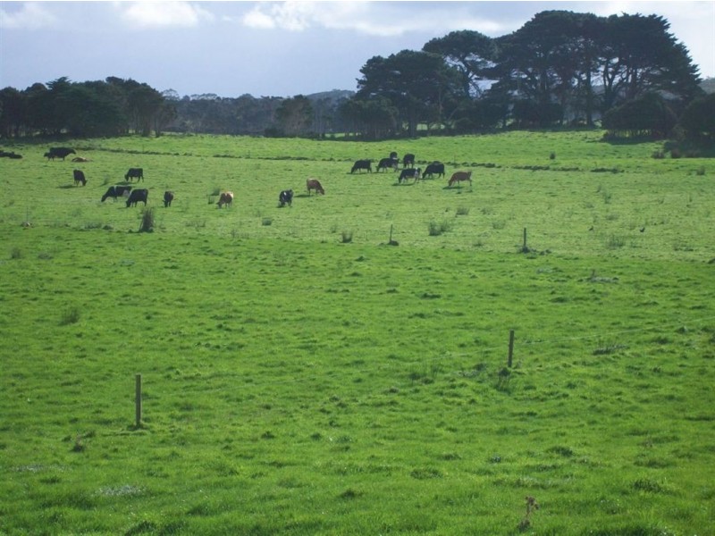393 Lancaster Road, Pegarah TAS 7256