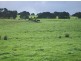 393 Lancaster Road, Pegarah TAS 7256