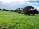393 Lancaster Road, Pegarah TAS 7256