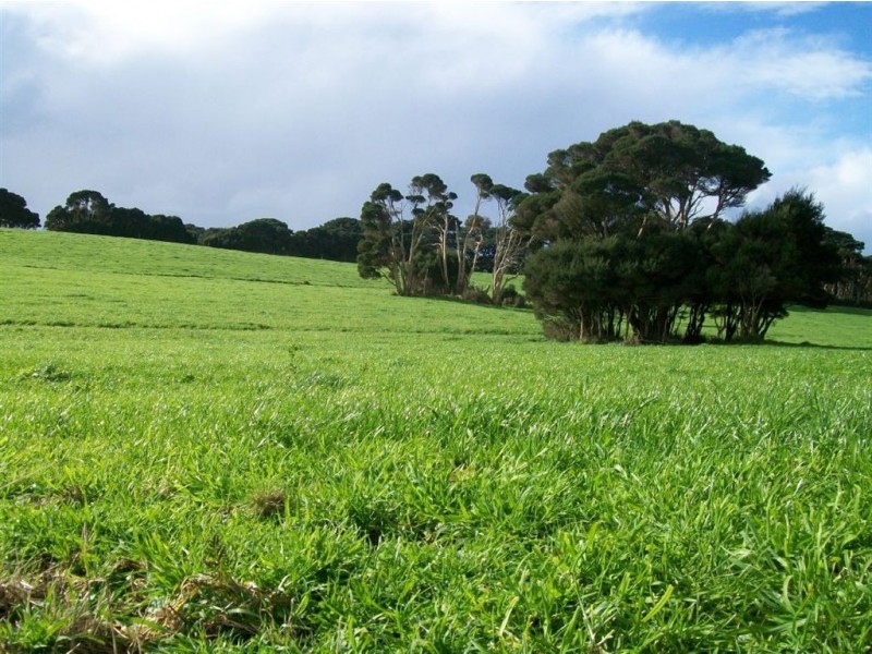 393 Lancaster Road, Pegarah TAS 7256