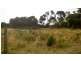 Lot 16 Skyline Drive, Naracoopa TAS 7256