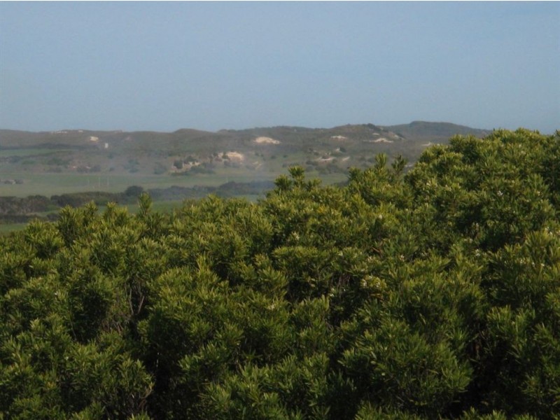 Lot 6 North Yellow Rock Road, Yambacoona TAS 7256