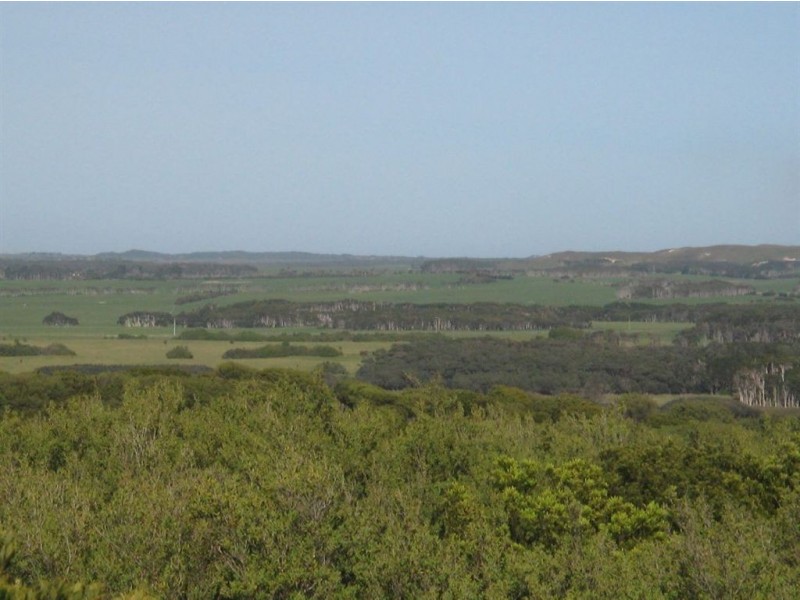 Lot 6 North Yellow Rock Road, Yambacoona TAS 7256