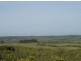 Lot 6 North Yellow Rock Road, Yambacoona TAS 7256