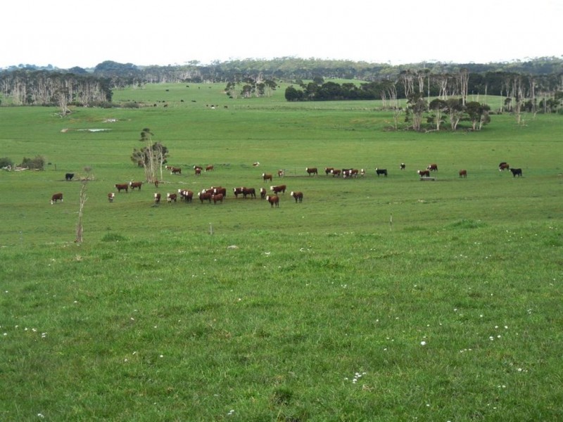 108 Yarra Creek Road, Lymwood TAS 7256