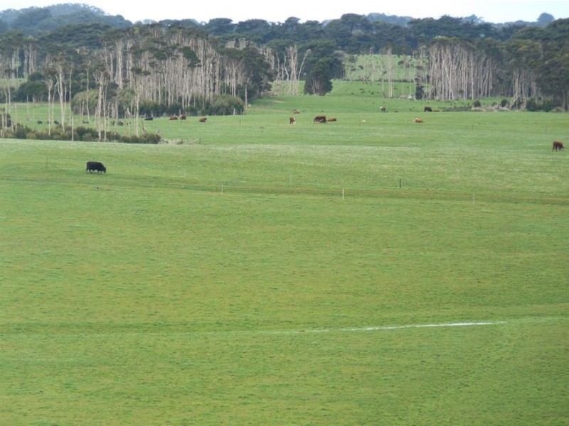 108 Yarra Creek Road, Lymwood TAS 7256