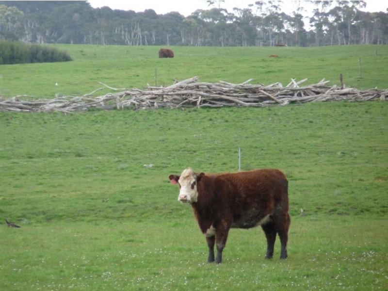 108 Yarra Creek Road, Lymwood TAS 7256