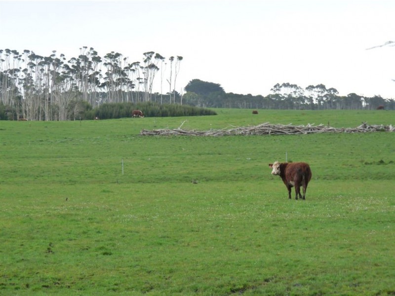 108 Yarra Creek Road, Lymwood TAS 7256