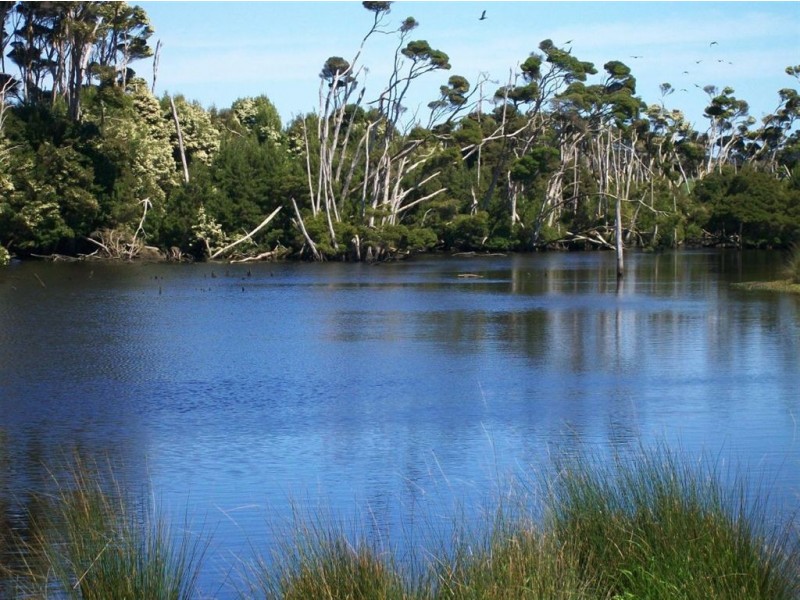 108 Yarra Creek Road, Lymwood TAS 7256