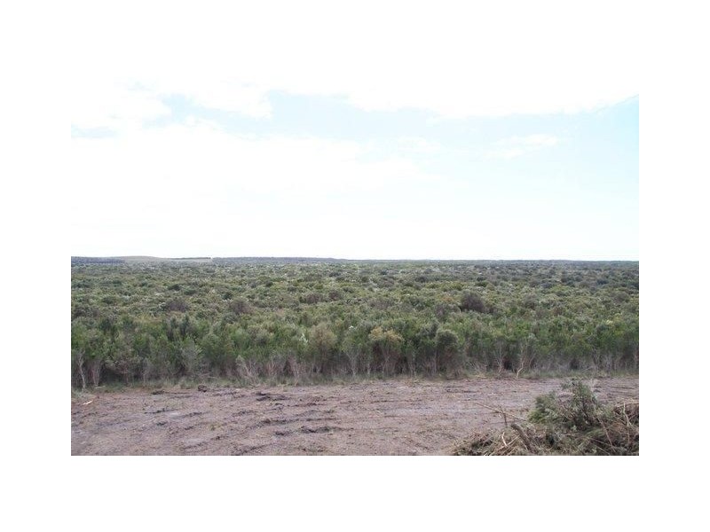 2101 Fraser Road, Pegarah TAS 7256