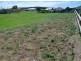 16B Charles Street, Currie TAS 7256