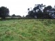 764 Skyline Drive, Naracoopa TAS 7256