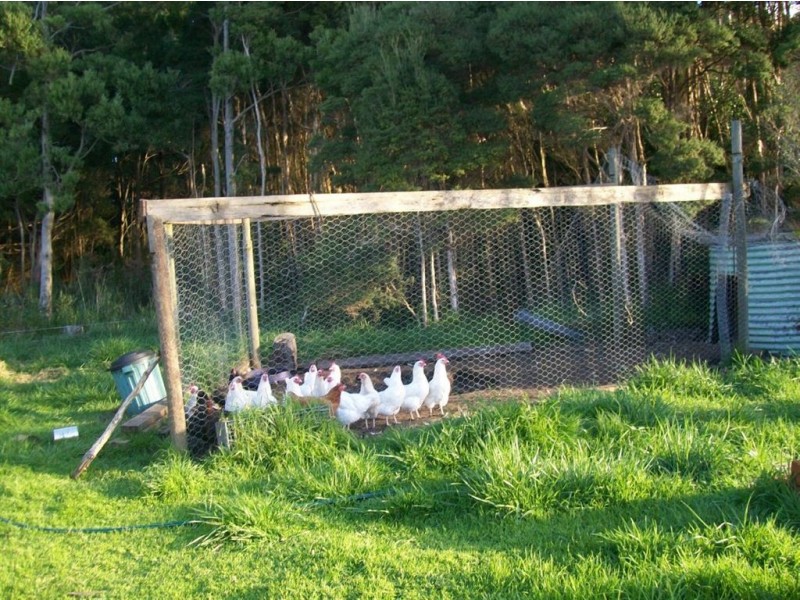 325 North Road, Currie TAS 7256