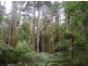 735 Pegarah Road, Naracoopa TAS 7256
