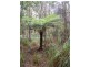 735 Pegarah Road, Naracoopa TAS 7256