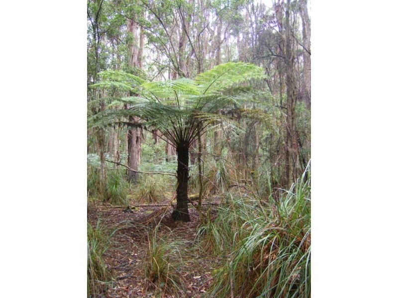 735 Pegarah Road, Naracoopa TAS 7256