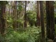 735 Pegarah Road, Naracoopa TAS 7256