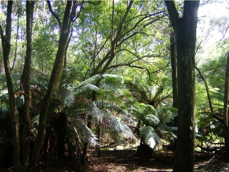 735 Pegarah Road, Naracoopa TAS 7256