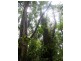 735 Pegarah Road, Naracoopa TAS 7256