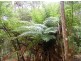 735 Pegarah Road, Naracoopa TAS 7256