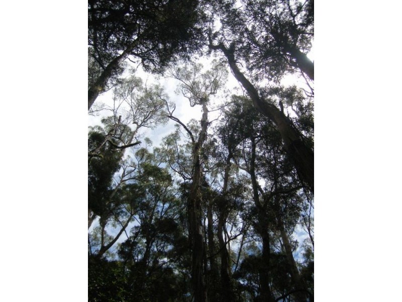 735 Pegarah Road, Naracoopa TAS 7256