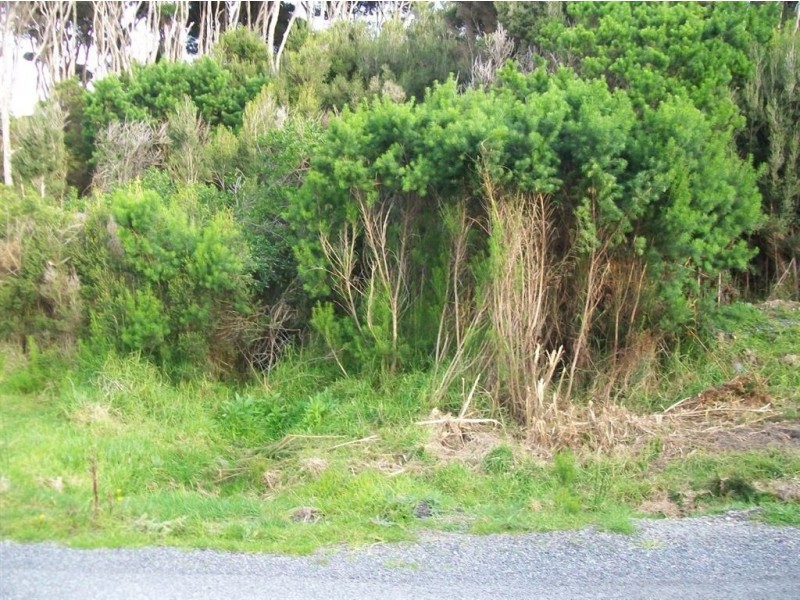 Lot 12 The Esplanade, Naracoopa TAS 7256