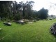 1 Forrest Street, Naracoopa TAS 7256
