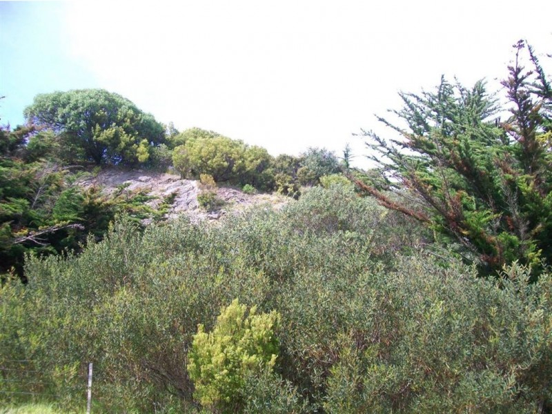 54 Main Street, Currie TAS 7256