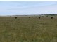 3728 North Road, Egg Lagoon TAS 7256