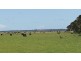 3728 North Road, Egg Lagoon TAS 7256