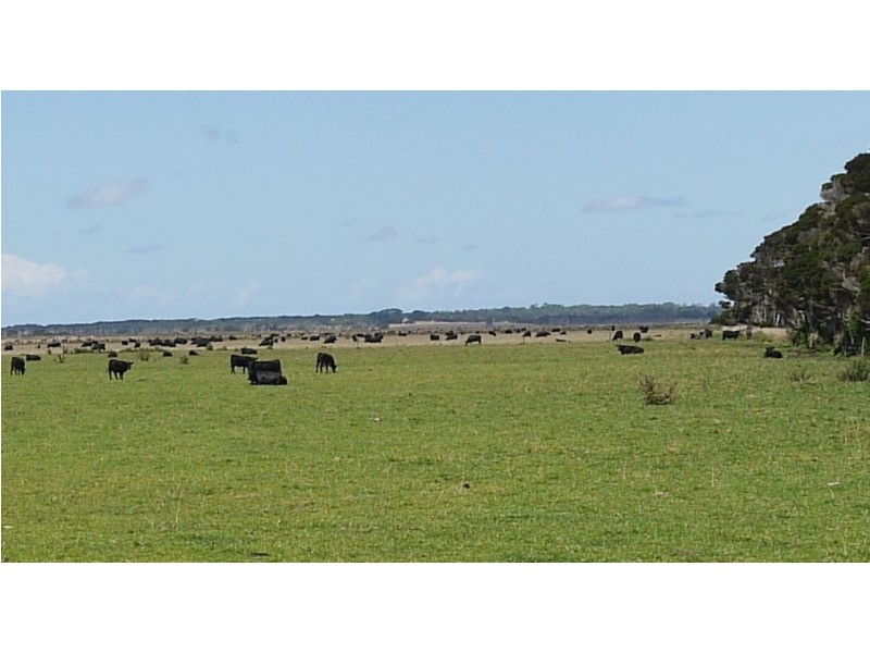 3728 North Road, Egg Lagoon TAS 7256