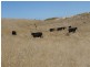3728 North Road, Egg Lagoon TAS 7256