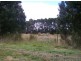 50 Bischoffs Rd,, Pegarah TAS 7256