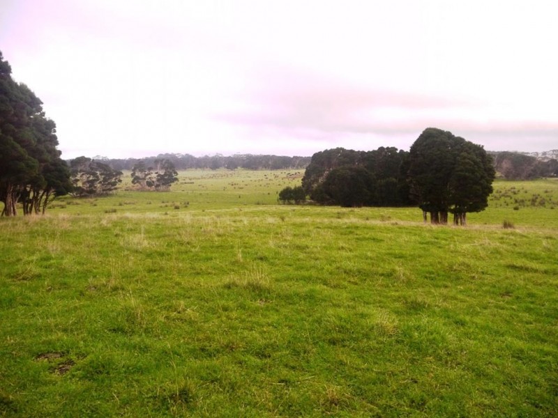 86 Mount Stanley Loop Road, King Island TAS 7256