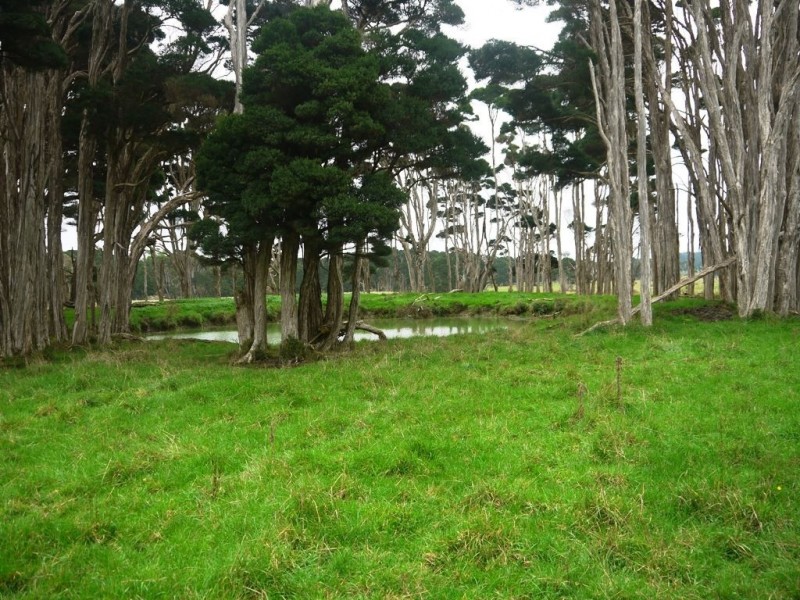 86 Mount Stanley Loop Road, King Island TAS 7256