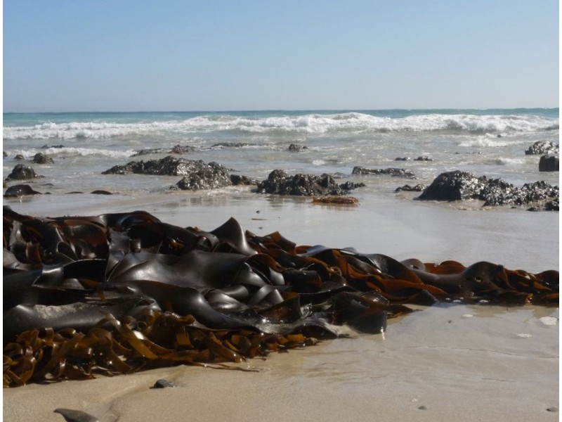 1820 South Road, Pearshape TAS 7256